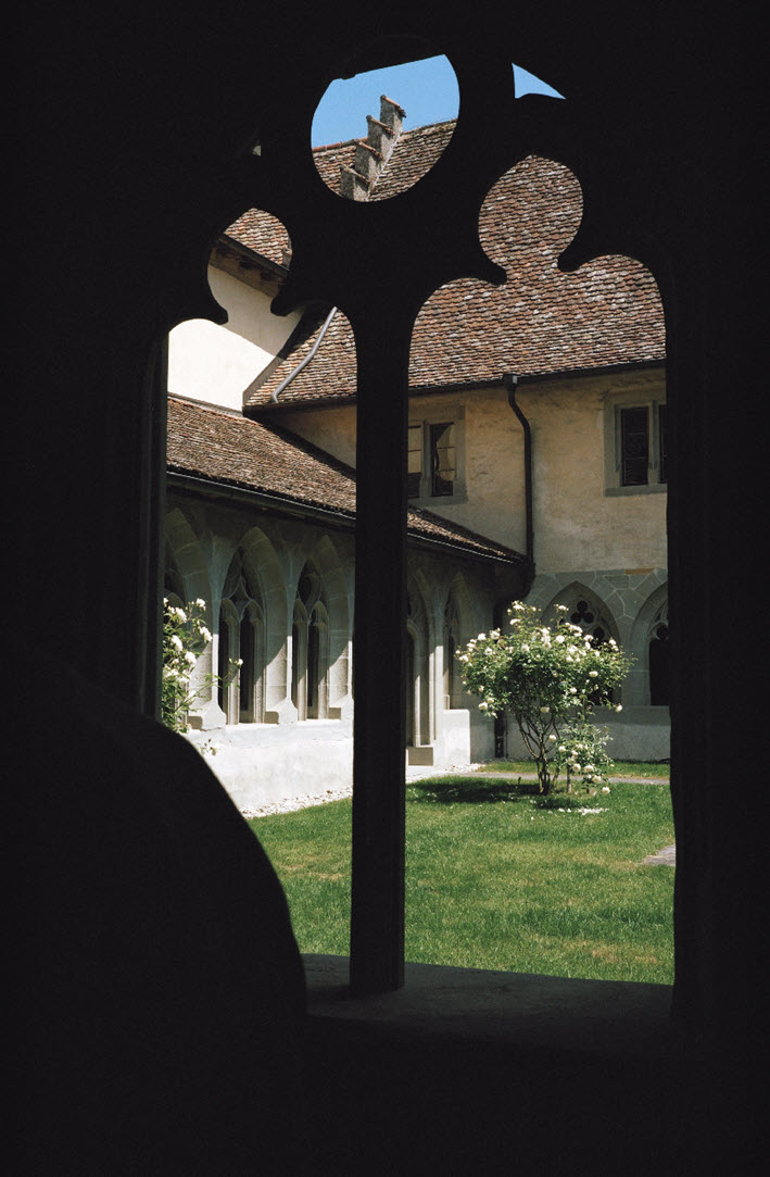 View from a window of the covered walkway to the opposite side of the covered walkway. The ground is covered by a lawn. There is a rose bush in the corner with white flowers. It’s daytime and the sky is blue. The inner courtyard is sunny.